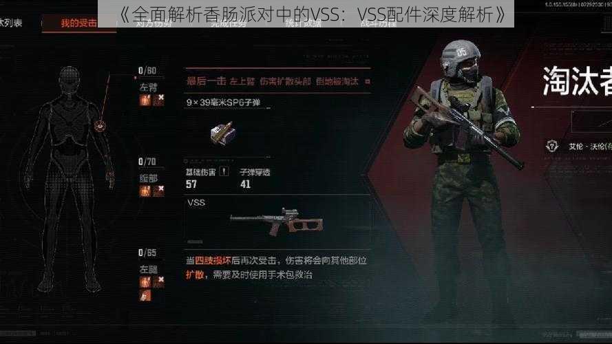 《全面解析香肠派对中的VSS：VSS配件深度解析》