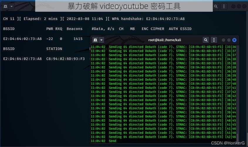 暴力破解 videoyoutube 密码工具