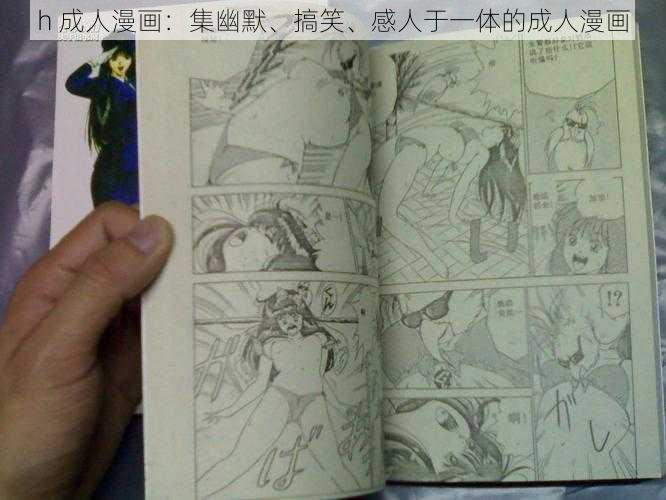 h 成人漫画：集幽默、搞笑、感人于一体的成人漫画