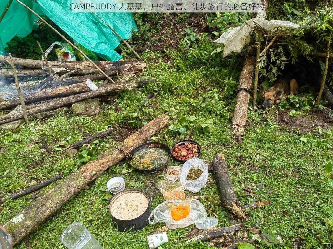 CAMPBUDDY 大基基，户外露营、徒步旅行的必备好物