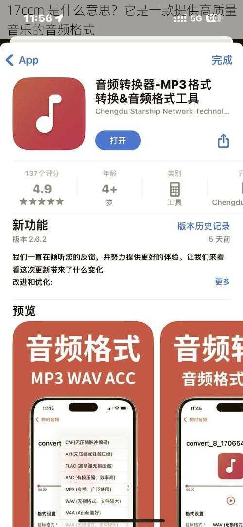 17ccm 是什么意思？它是一款提供高质量音乐的音频格式