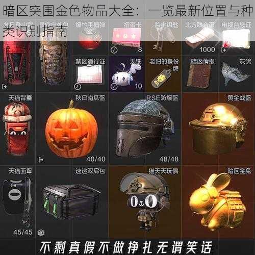 暗区突围金色物品大全：一览最新位置与种类识别指南