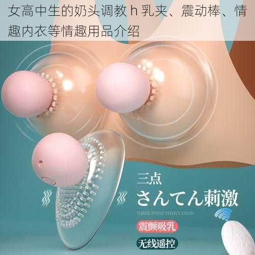 女高中生的奶头调教 h 乳夹、震动棒、情趣内衣等情趣用品介绍