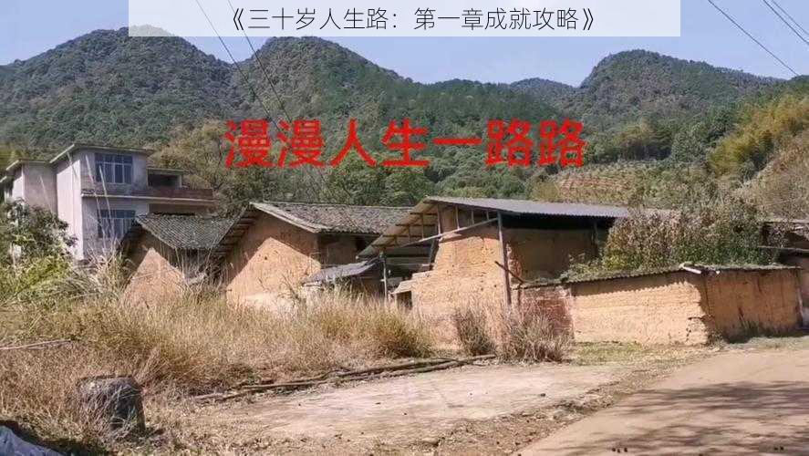 《三十岁人生路：第一章成就攻略》