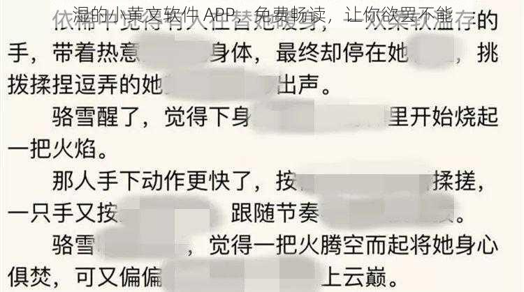 湿的小黄文软件 APP，免费畅读，让你欲罢不能