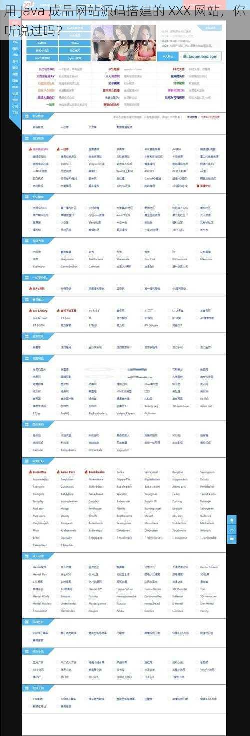 用 Java 成品网站源码搭建的 XXX 网站，你听说过吗？