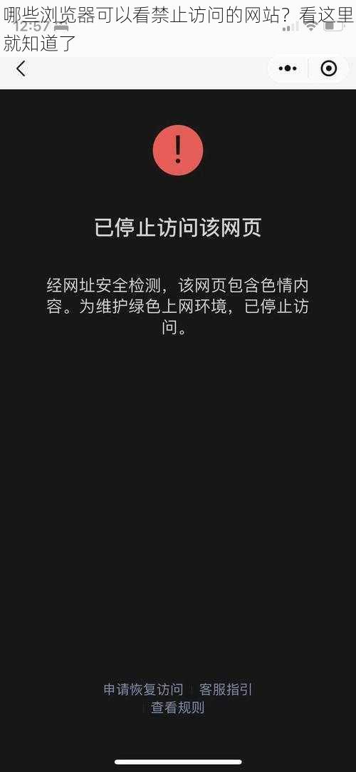 哪些浏览器可以看禁止访问的网站？看这里就知道了