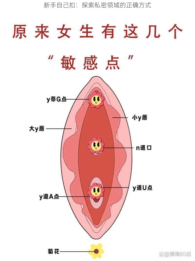 新手自己扣：探索私密领域的正确方式